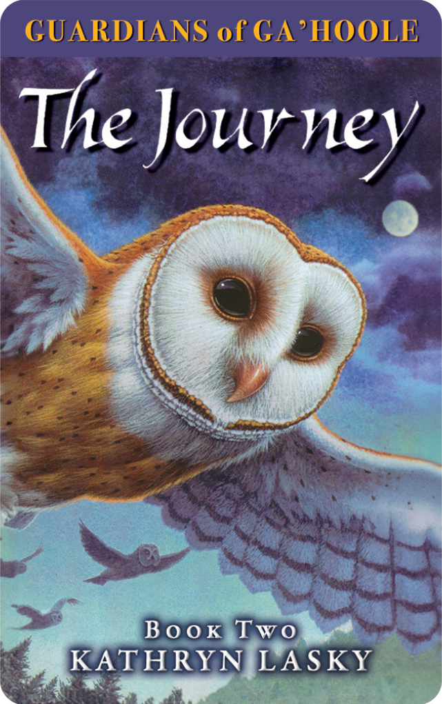 The Guardians of Ga'Hoole Pack (MCRP)